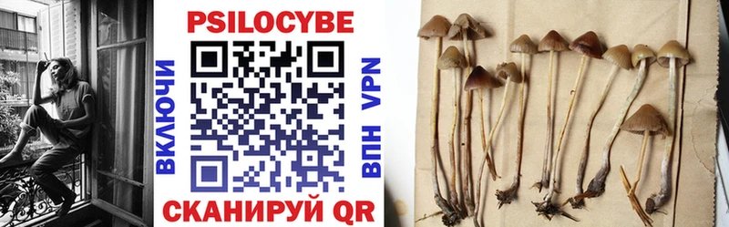 Галлюциногенные грибы GOLDEN TEACHER  Купить закладки  Жирновск 