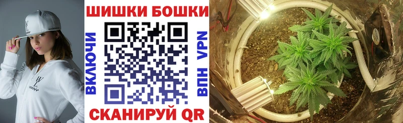 Бошки марихуана планчик  Купить где  Жирновск 